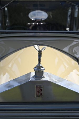 Web RR bonnet